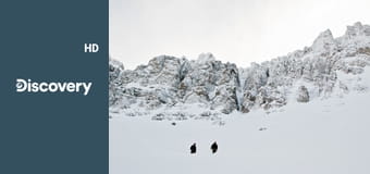 Выжить вместе