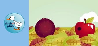 Home Sweet Home - Hedgehog