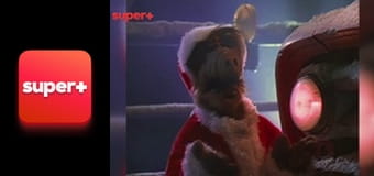 Т/с "Альф", 2 сезон, 14 с.