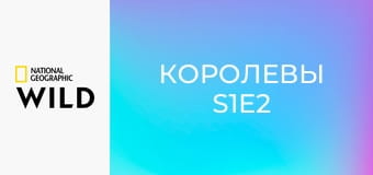 Королевы S1E2