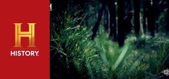 Доказательство где-то рядом, 4 сезон, 1 эп. Дело о бигфуте.