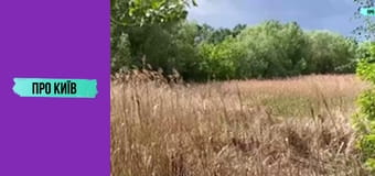 Околиці Дарницького вокзалу.