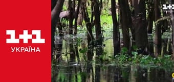 Світ навиворіт S10E15