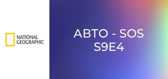 Авто - SOS S9E4 - VW Wizard