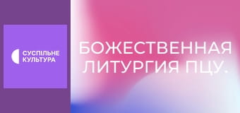 Божественная Литургия ПЦУ.