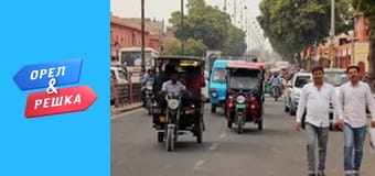 Шалені вихідні - Раджастан