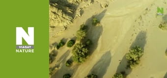 Massive Africa - Namib Desert