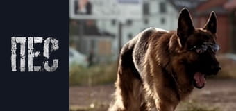 Пёс, Сезон 2, Серия 14