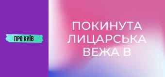 Покинута лицарська вежа в Голосіївському лісі в Києві. Що там приховано?