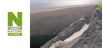 Дикая Новая Зеландия Сезон 1 Эпизод 2