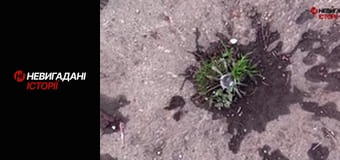 Невигадані історії. Східний фронт.