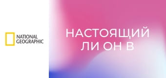 Настоящий ли он в упаковке S3E2 - Бермудский треугольник