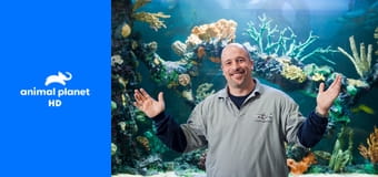 Чистка аквариумов по вызову S1E2 Чистка аквариумов по вызову S1E2