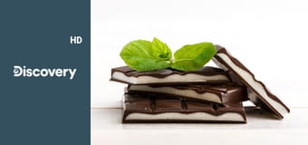 Как это устроено? S26E3 - Катушки для спиннинга, белковая терапия