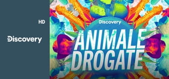 Животные под наркотиками S1E3
