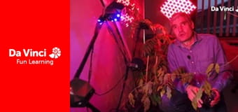 Futuris - Flora Robotica Futuris - Flora Robotica