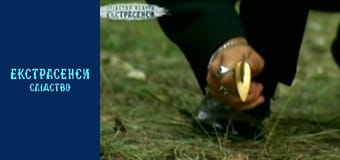 Мажор. Часть 2 Мажор. Часть 2