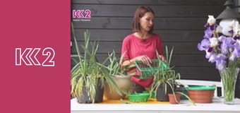 Квадратний метр E77