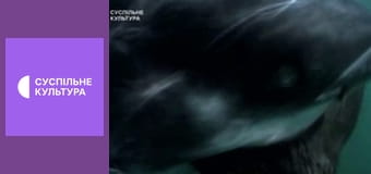 Д/с "Спецпризначенці тваринного світу". "Елітні війська".