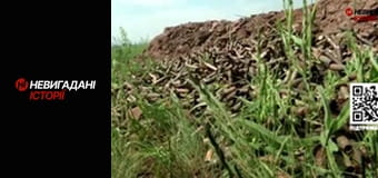 Невигадані історії.