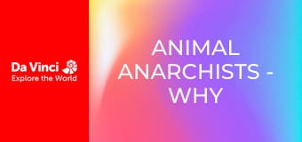 Animal Anarchists - Why Cicadas Don’t Like the Wasp