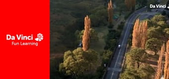 Siyaya - Come Wild With Us - The Golden Gate Siyaya - Come Wild With Us - The Golden Gate