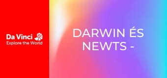 Darwin és Newts - Virágverseny Kivivölgyben Darwin és Newts - Virágverseny Kivivölgyben