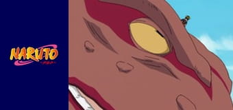 Naruto Season 1 Episode 138