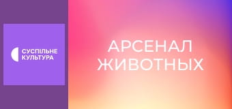 Д/с "Арсенал животных". "Драки и стычки".
