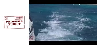 По ръба на кораловия риф на о-в Мавриций По ръба на кораловия риф на о-в Мавриций