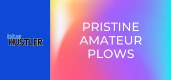 Pristine Amateur Plows