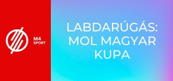 Labdarúgás: MOL Magyar Kupa - DVTK – Szeged-Csanád GA mérkőzés