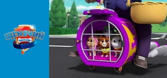 Щенячий патруль. Сезон 4 – серія 1