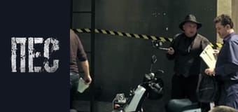 Пес, Сезон 5, Серія 1