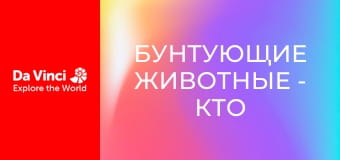 Бунтующие животные - Кто живёт в этой пещере?