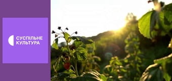 Гімн України.