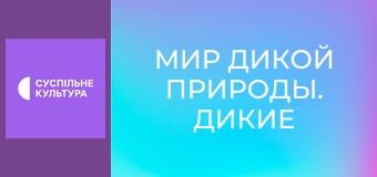 Д/с "Мир дикой природы. Дикие животные". "Пресные воды".
