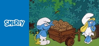 Szlachetny jeleń Szlachetny jeleń