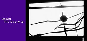 Liza Bibikova — Скажи мені Liza Bibikova — Скажи мені