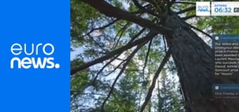 Европейский отчет