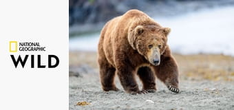 Королевы S1E2