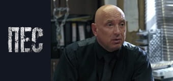 Пёс, Сезон 5, Серия 10