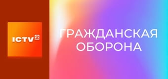 "Гражданская оборона".