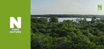 Витоки життя - Ті, що заплуталися в припливах