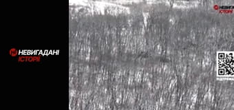 Невигадані історії. Бахмут. Рекси.