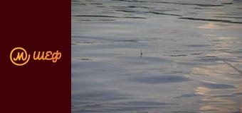 Сезон 7, Випуск 18, Частина 6