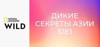 Дикие секреты Азии S1E1 - Муссоны