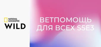 Ветпомощь для всех S5E3