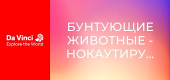 Бунтующие животные - Нокаутирующая улитка-конус