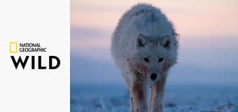 Враждебная планета S1E3 - Полюсa